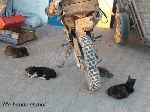 Photo du voyageur