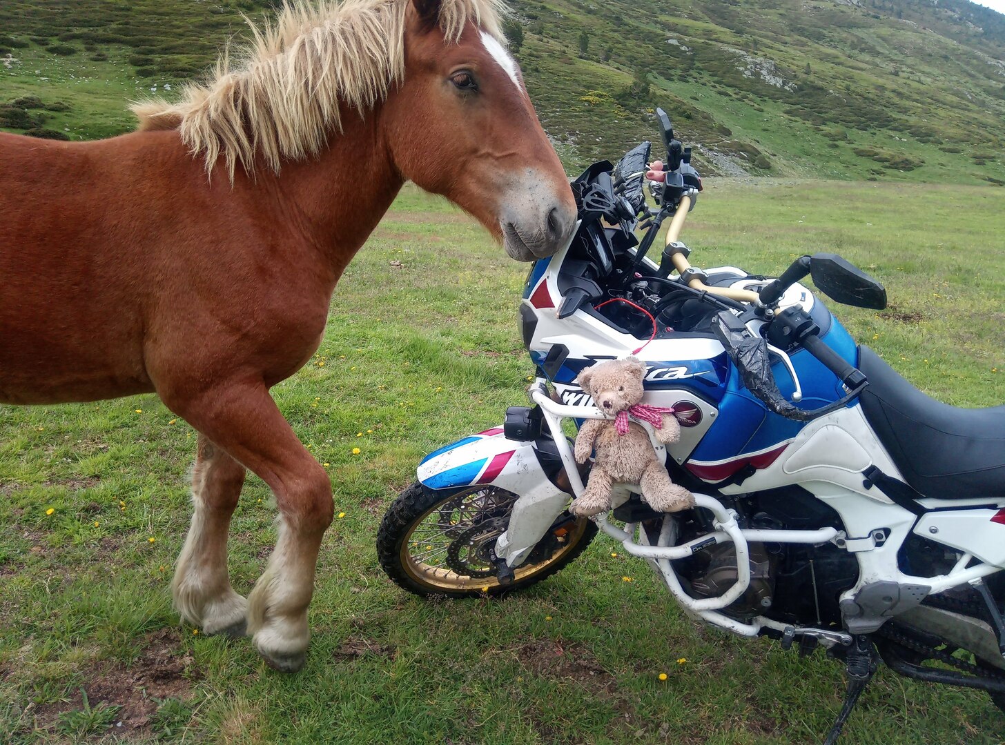 Photo du voyageur